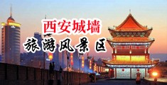 狂操骚逼精品中国陕西-西安城墙旅游风景区